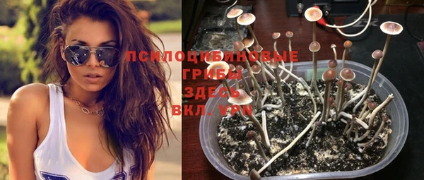 молекула духа Аркадак