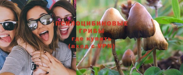 молекула духа Аркадак